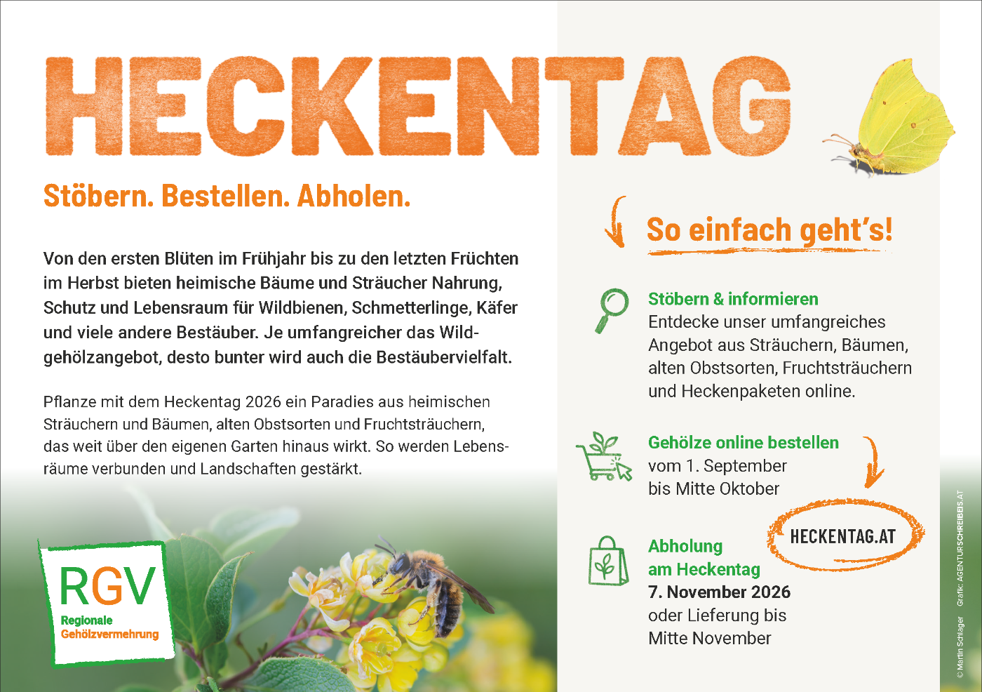 Heckentag_Inserat_A5_NOE_2026_DRUCK.png