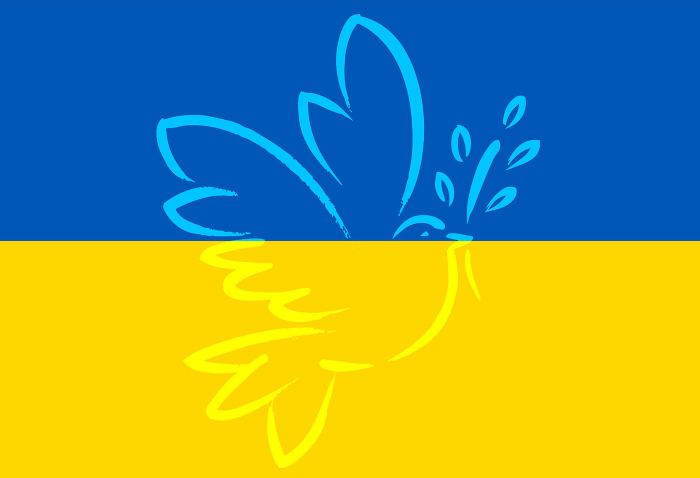 Ukraine_Flagge_1.jpg